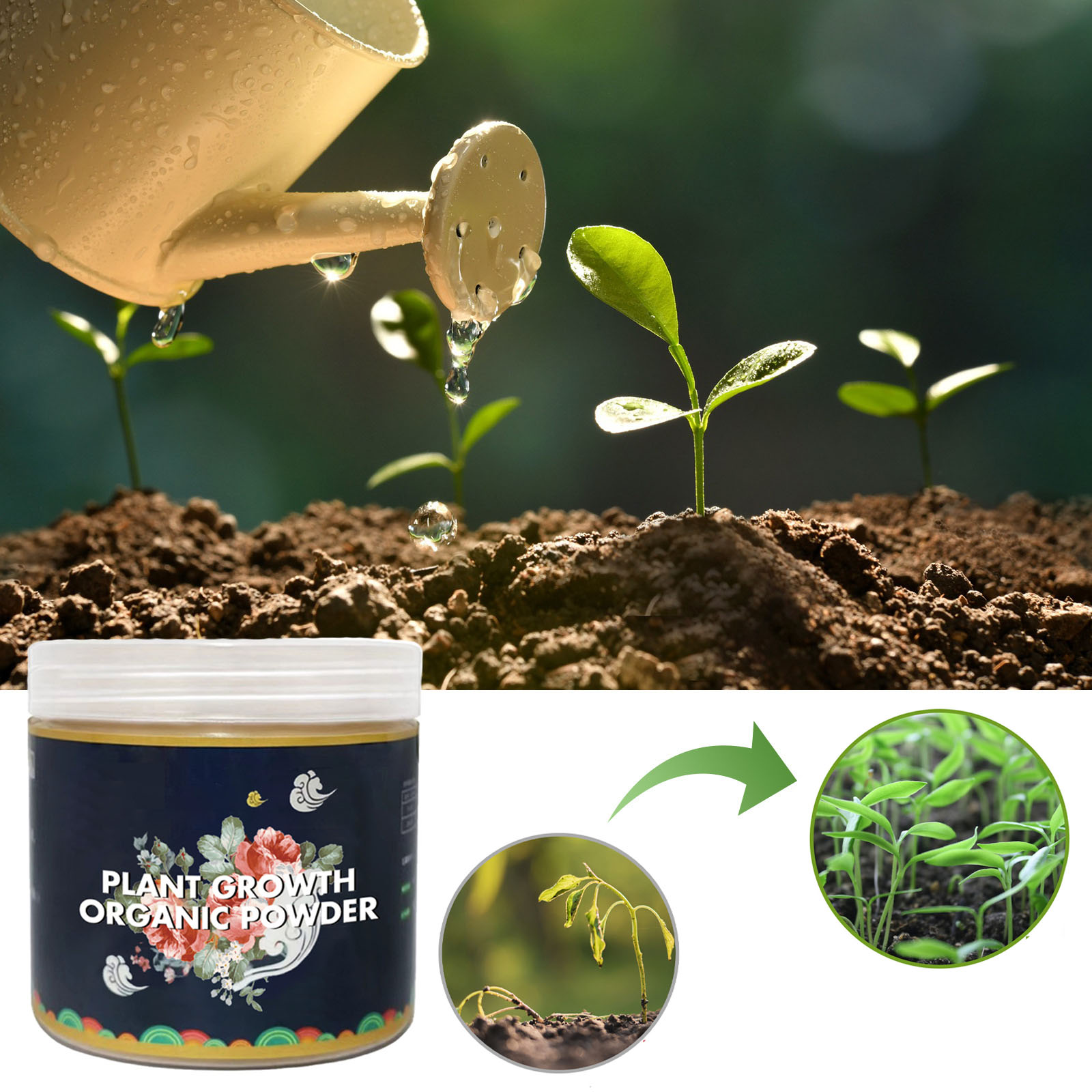 Rooting Hormone Powder - Polvere per radicazione veloce Miglioramento del