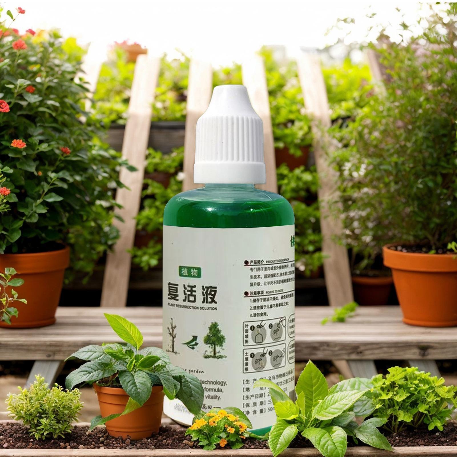 Stimolatore di Radici per Pian - Root Stimulator Liquid recensione e prezzo