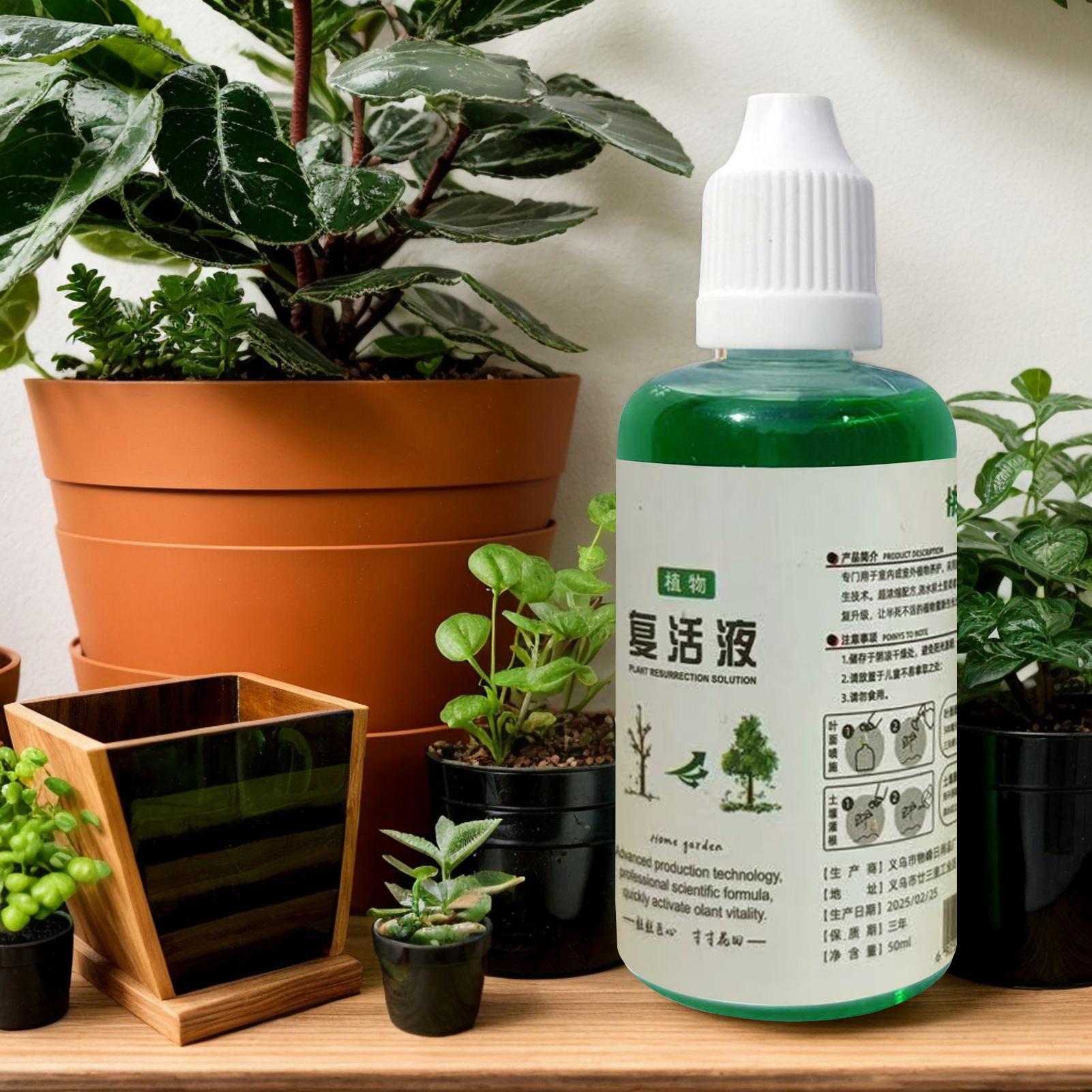 Stimolatore di Radici per Pian - Root Stimulator Liquid recensione e prezzo