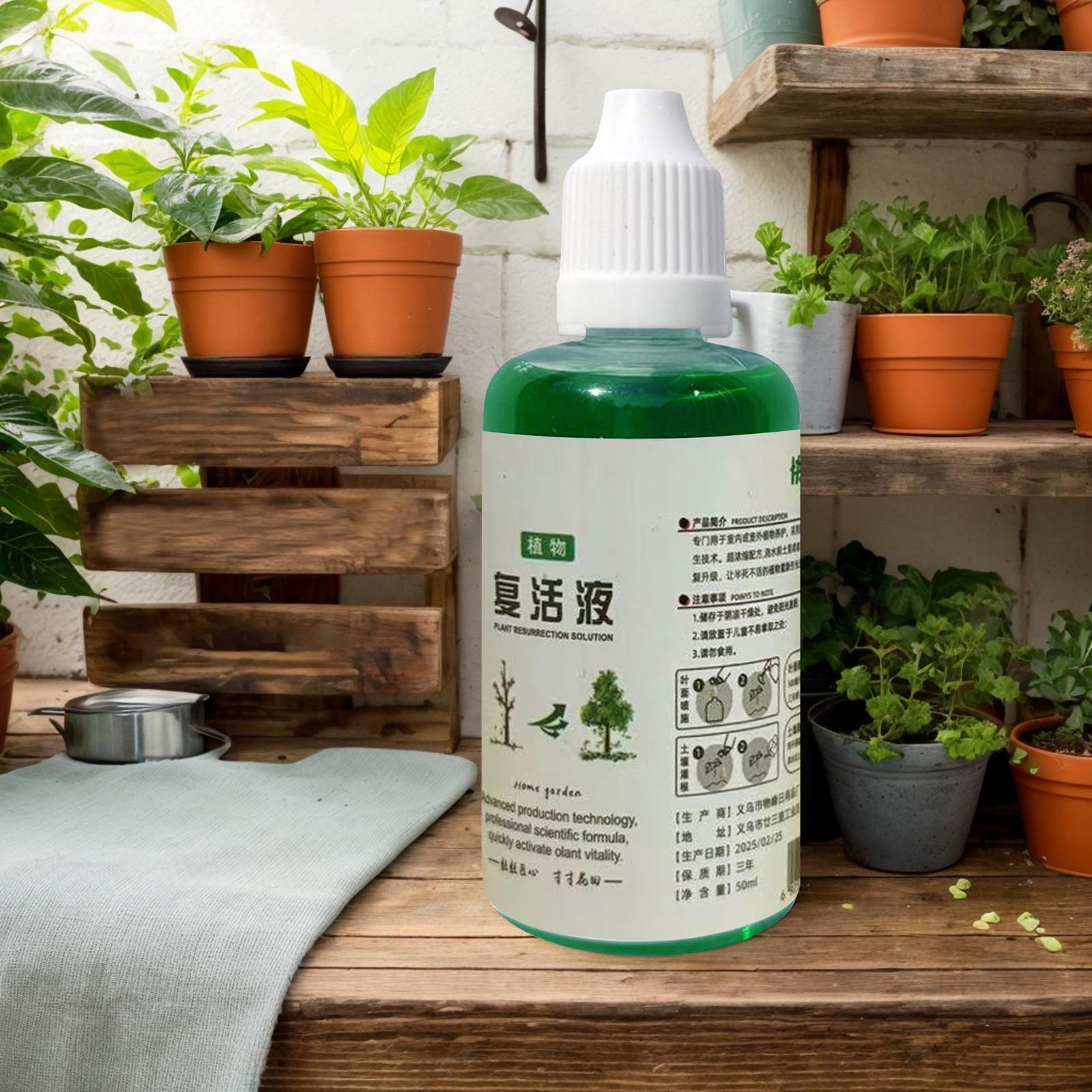 Stimolatore di Radici per Pian - Root Stimulator Liquid recensione e prezzo