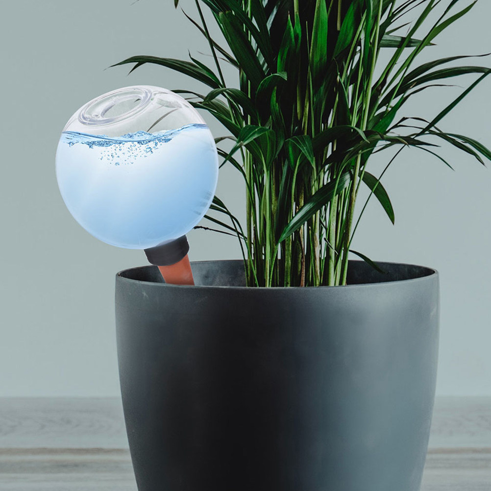 3 Pezzi di Globi per Irrigazio - Self Watering Insert recensione e prezzo